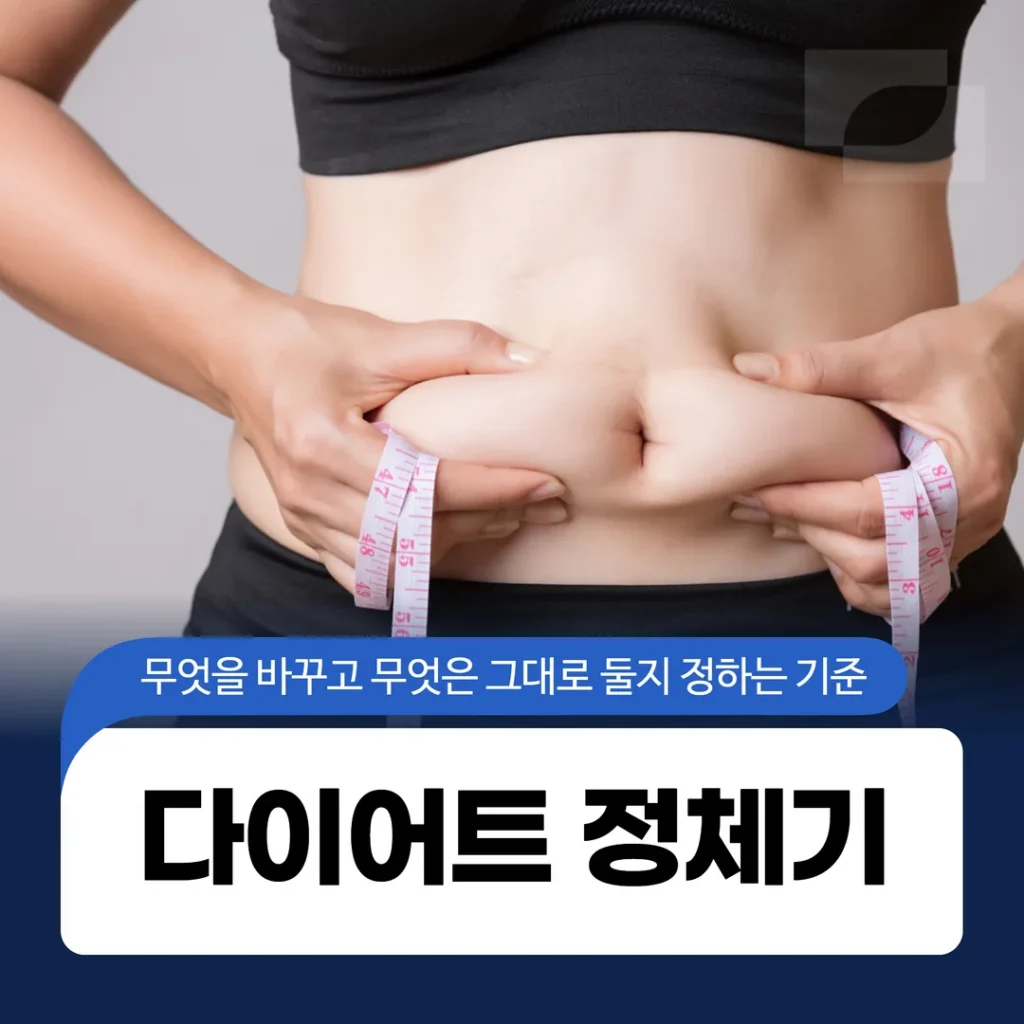 다이어트 정체기, 무엇을 바꾸고 무엇은 그대로 둘지 정하는 기준