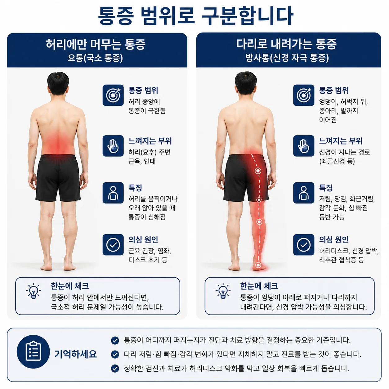 허리 통증과 다리로 내려가는 통증의 범위 비교 도식