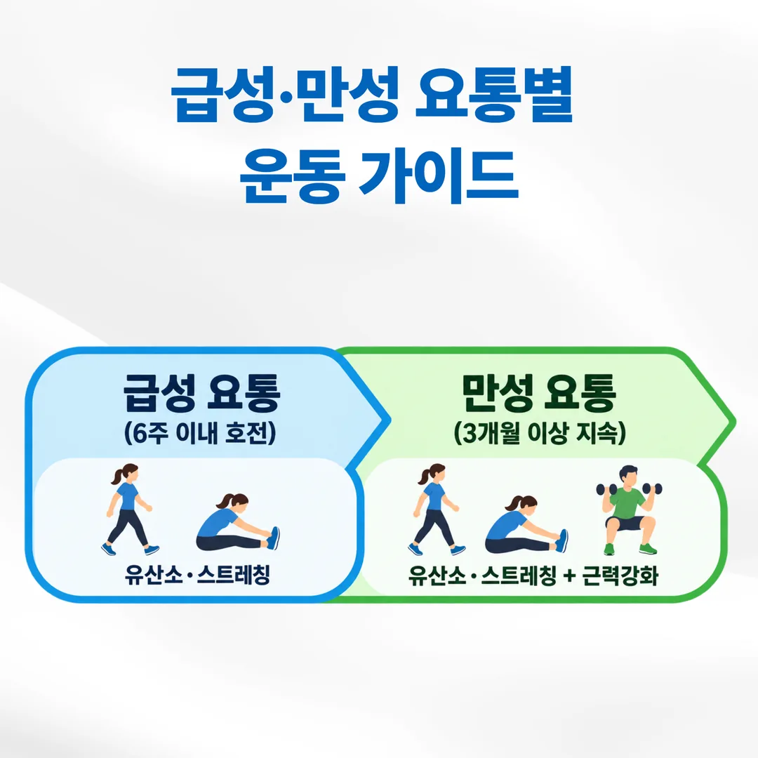 급성 요통과 만성 요통으로 나눈 요통 운동 종목 타임라인
