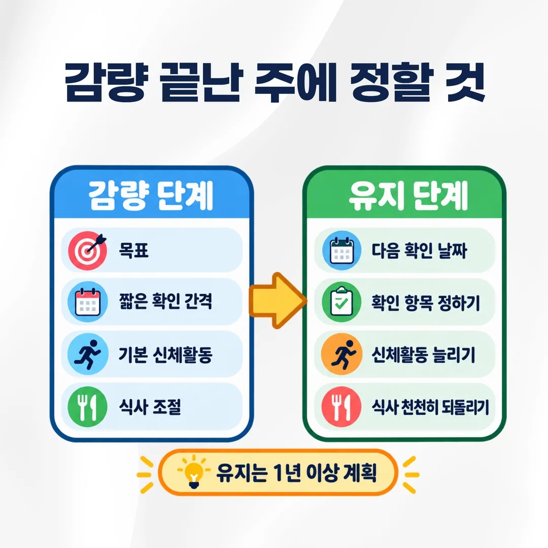 감량 단계와 유지 단계에 붙는 항목이 어떻게 갈리는지 정리한 개념도