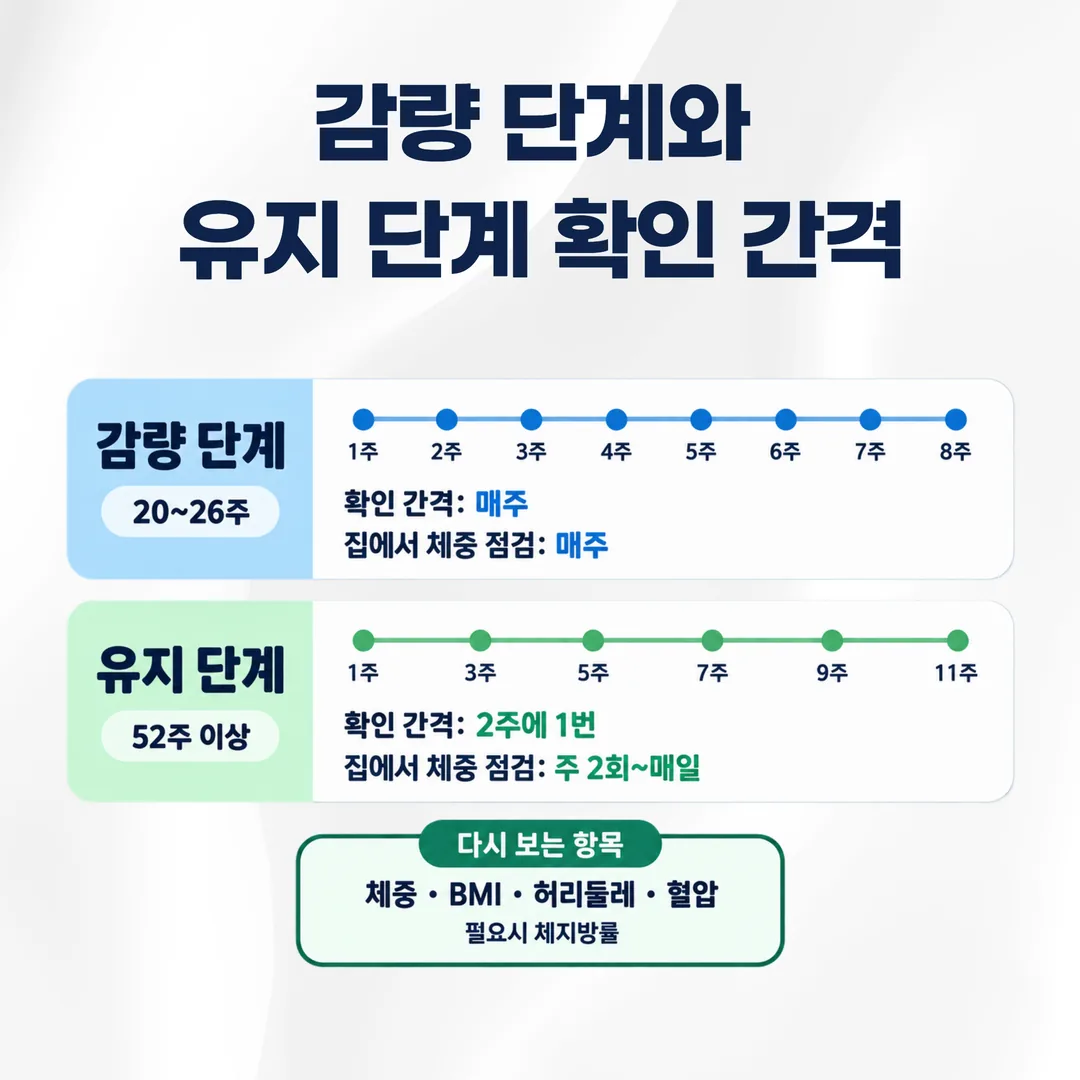 감량 단계 매주 확인과 유지 단계 2주 간격 확인을 달력 위에 비교한 도식