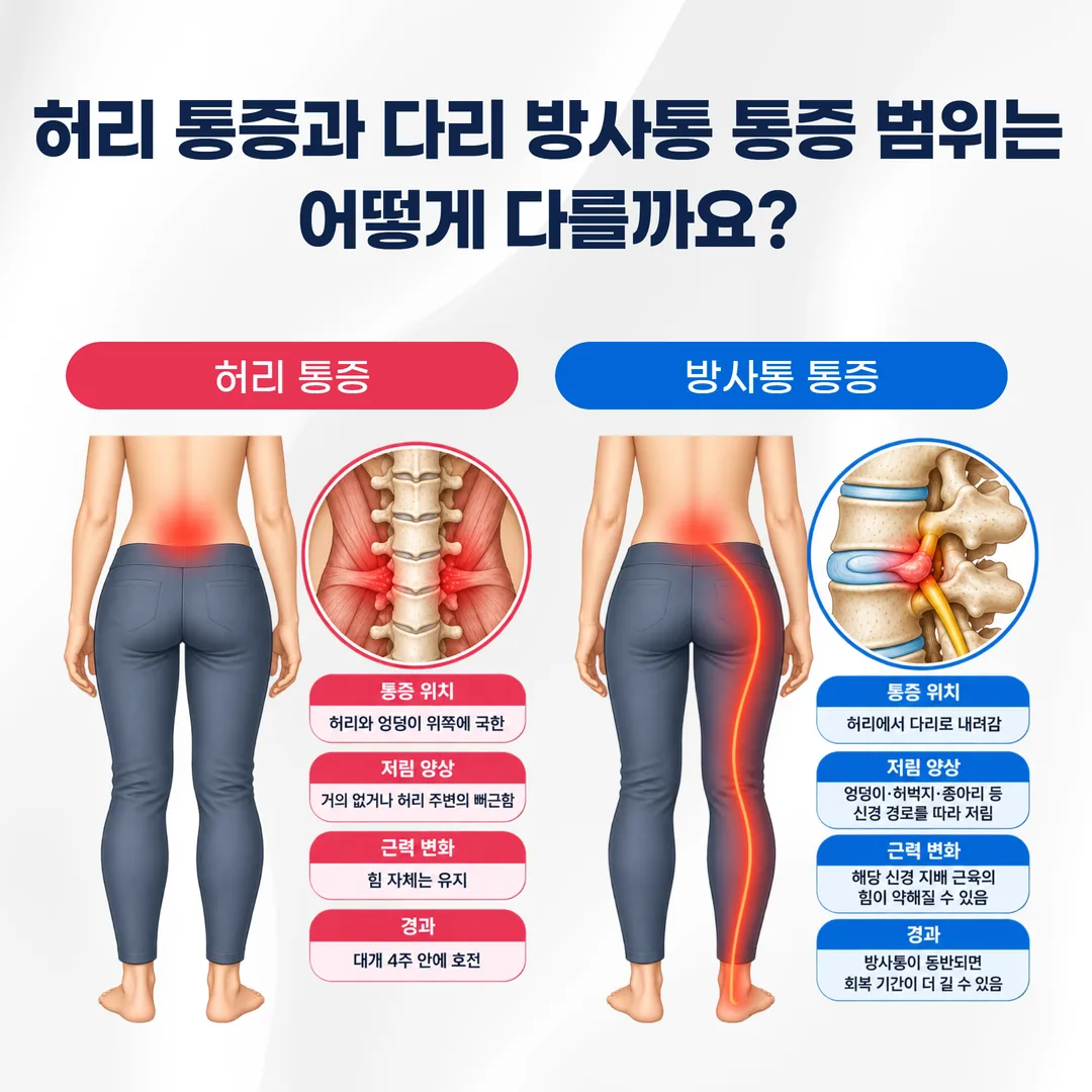 허리디스크 보존 치료의 급성기·아급성기·6주 이후 구간별 관리 도식