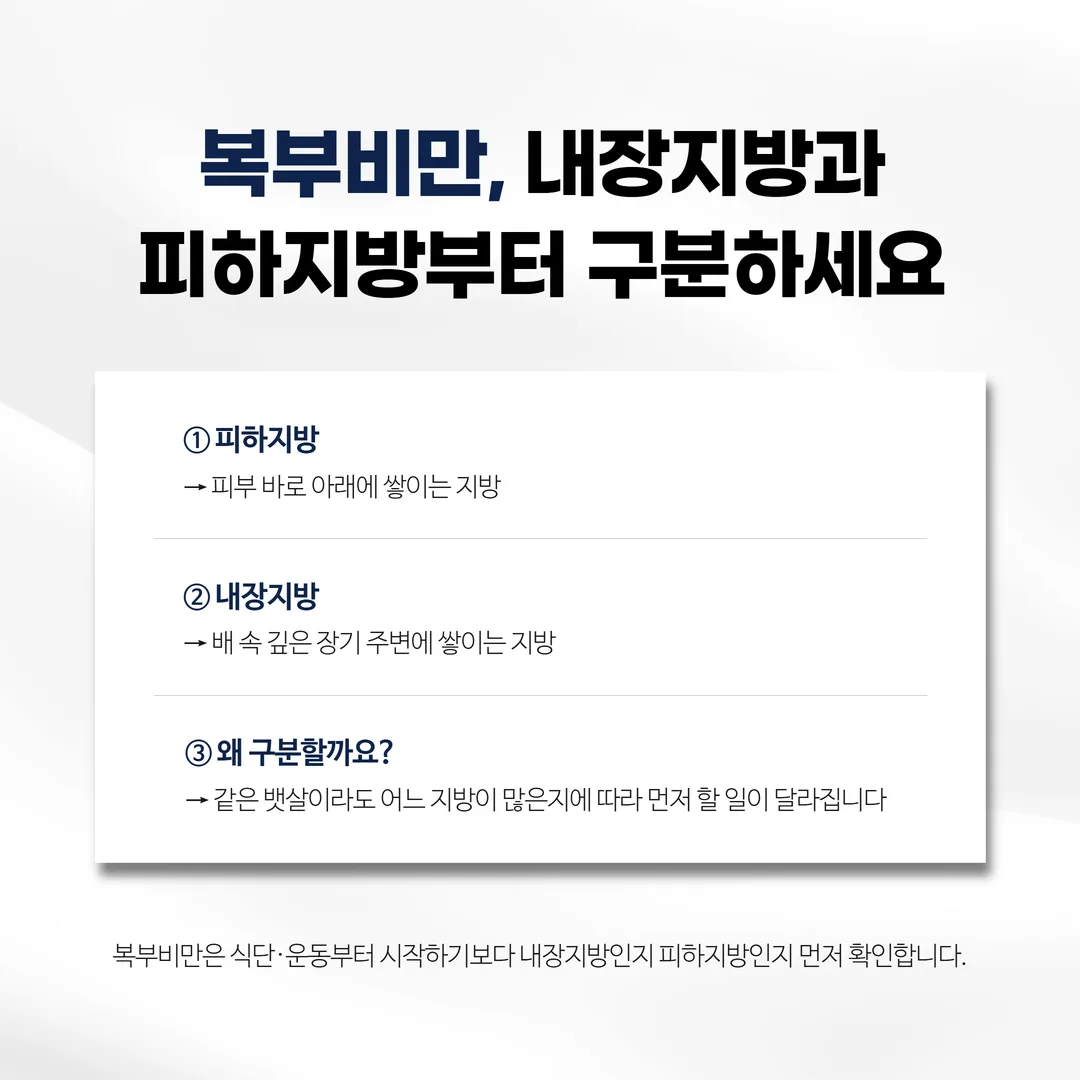복부 단면에서 피하지방과 내장지방이 쌓이는 위치 비교