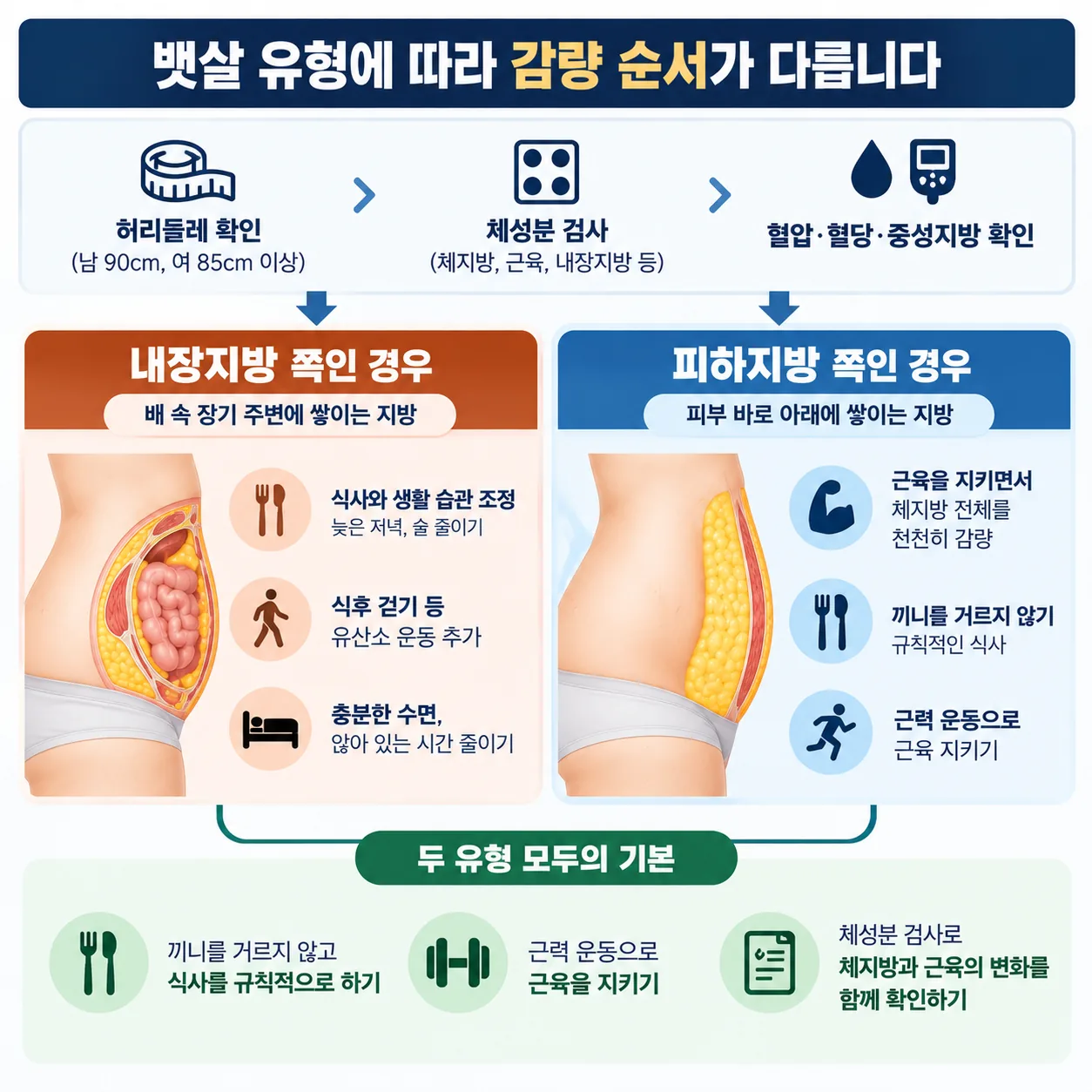 뱃살 유형에 따라 감량 순서가 두 갈래로 나뉘고 근력 운동은 공통으로 들어가는 흐름도