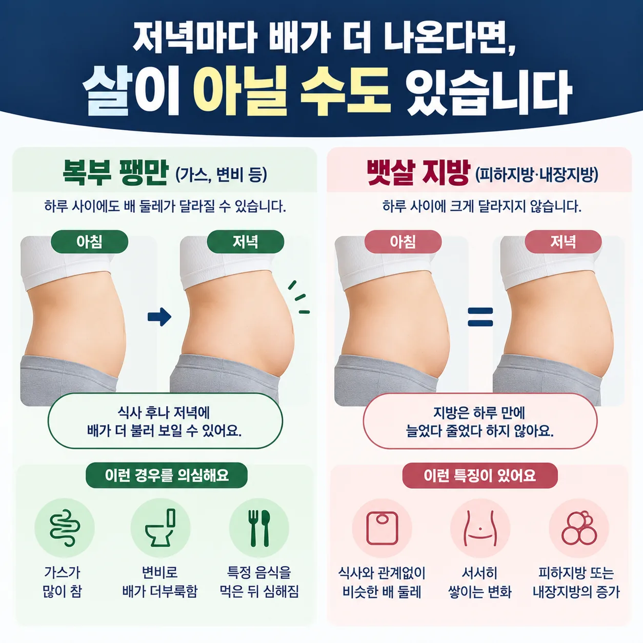 아침과 저녁에 달라지는 복부 팽만과 하루 사이 변하지 않는 뱃살 지방 비교