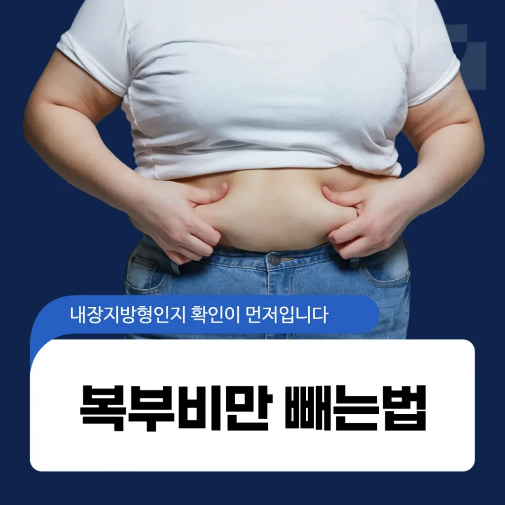 복부비만 빼는법, 내장지방형인지 확인이 먼저입니다